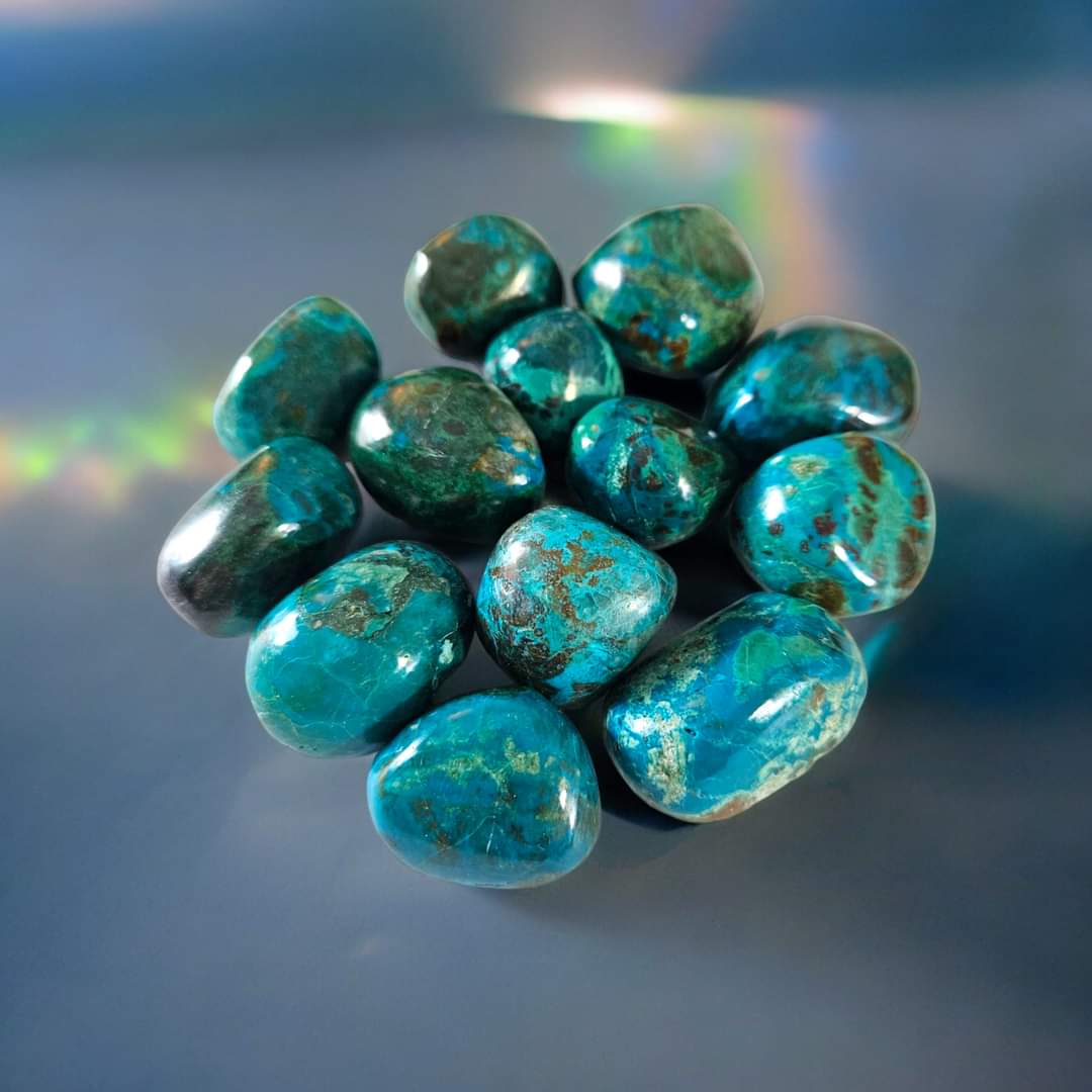 Chrysocolle extra