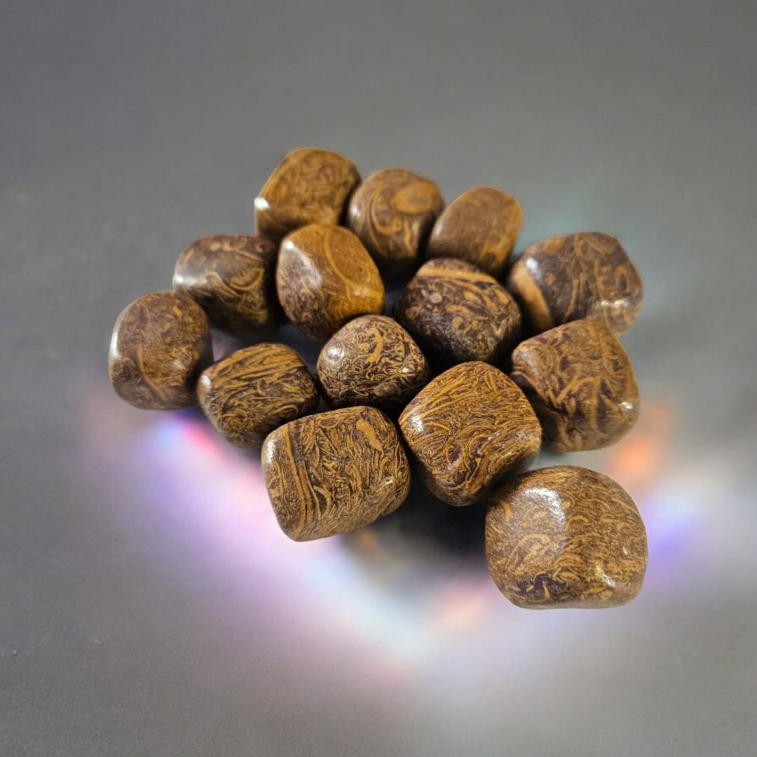 Jaspe maryam ou éléphant