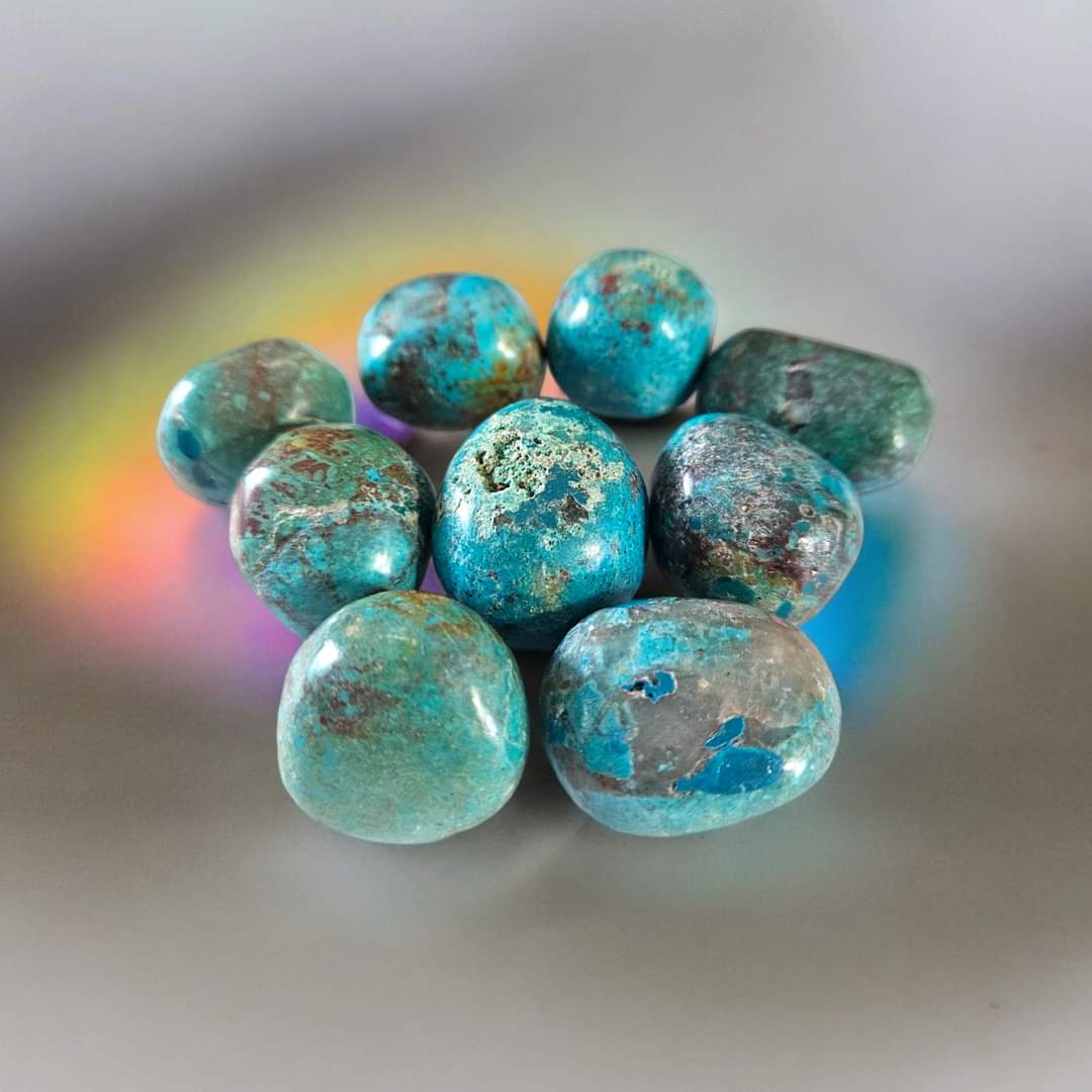 Chrysocolle